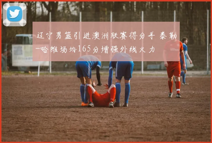 辽宁男篮引进澳洲联赛得分手 泰勒-哈维场均165分增强外线火力