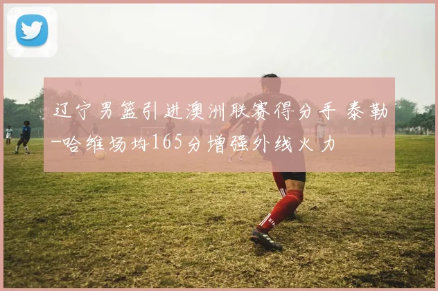 辽宁男篮引进澳洲联赛得分手 泰勒-哈维场均165分增强外线火力