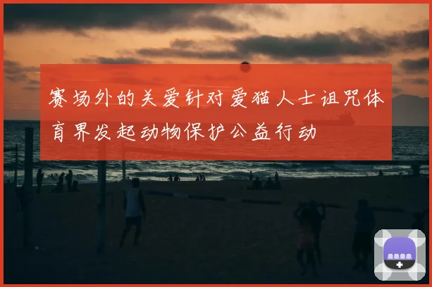 赛场外的关爱针对爱猫人士诅咒体育界发起动物保护公益行动