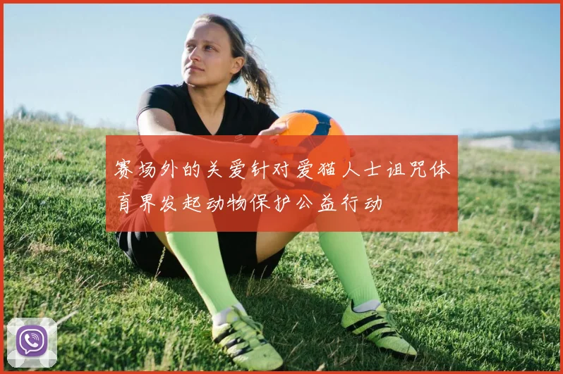 赛场外的关爱针对爱猫人士诅咒体育界发起动物保护公益行动