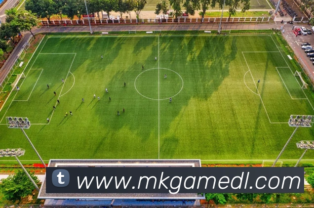 MK体育服务体系